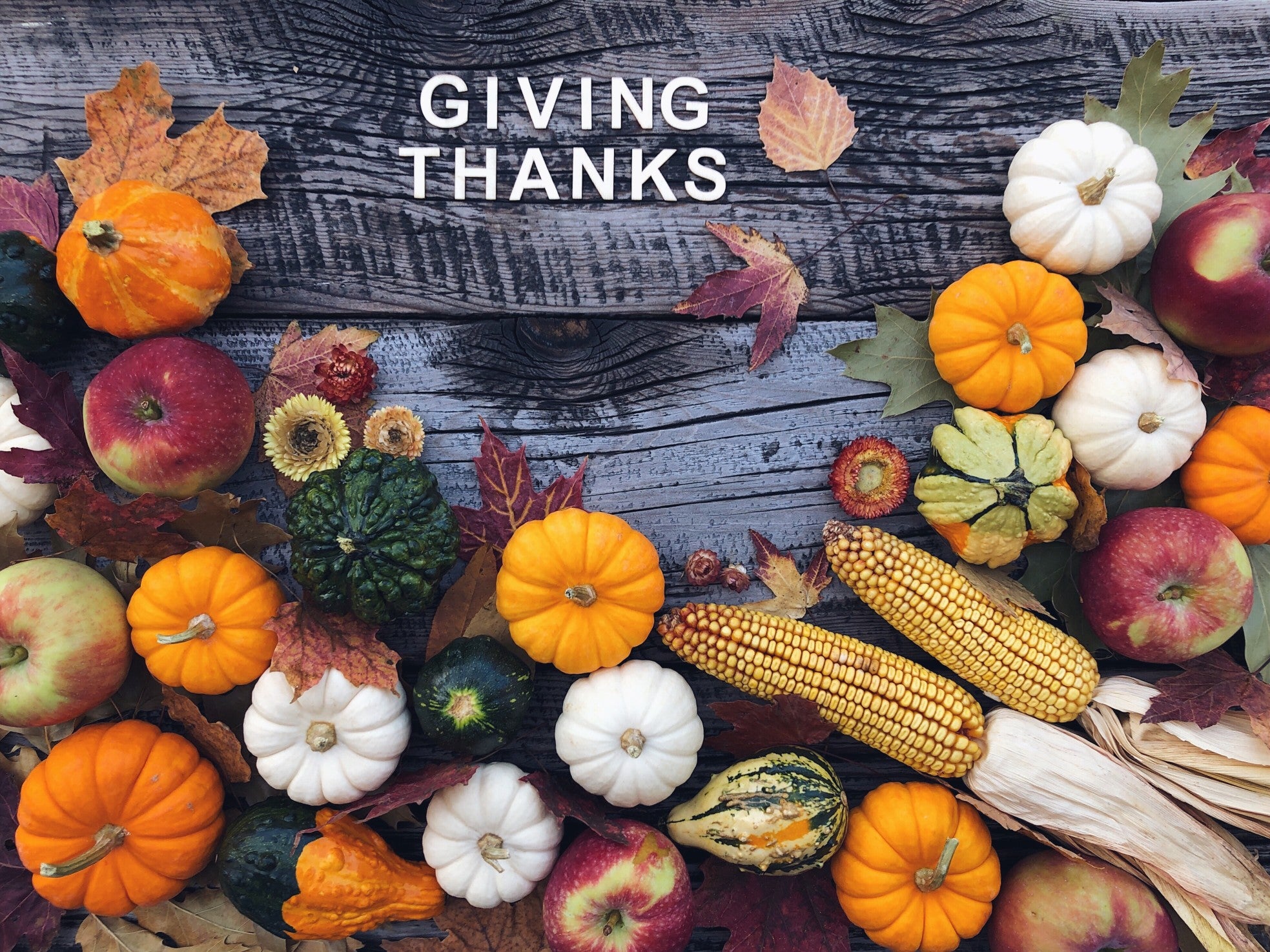 Our Black Friday Deal