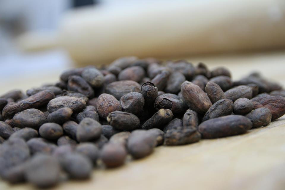 Cocoa Nibs and Beans