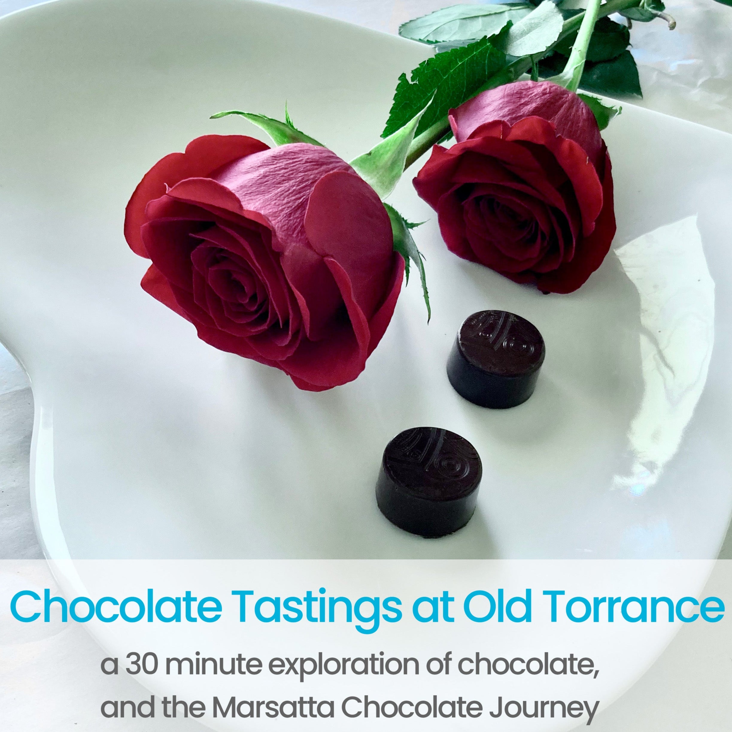 Chocolate Tasting Journey (30 Minutes)