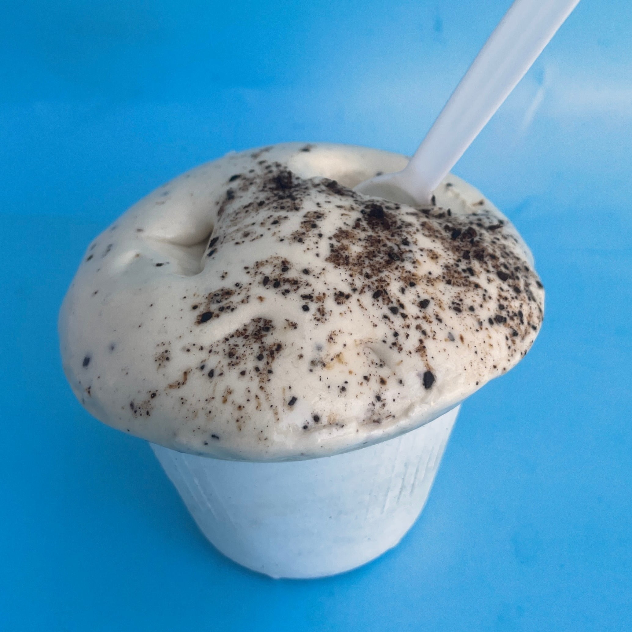 "20th Anniversary" - Mocha Chocolate Chip Crème Glacée