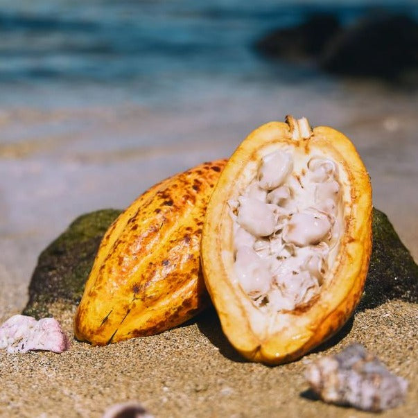 Chocolate Tasting Journey with Real Cacao Pods (30 Minutes)
