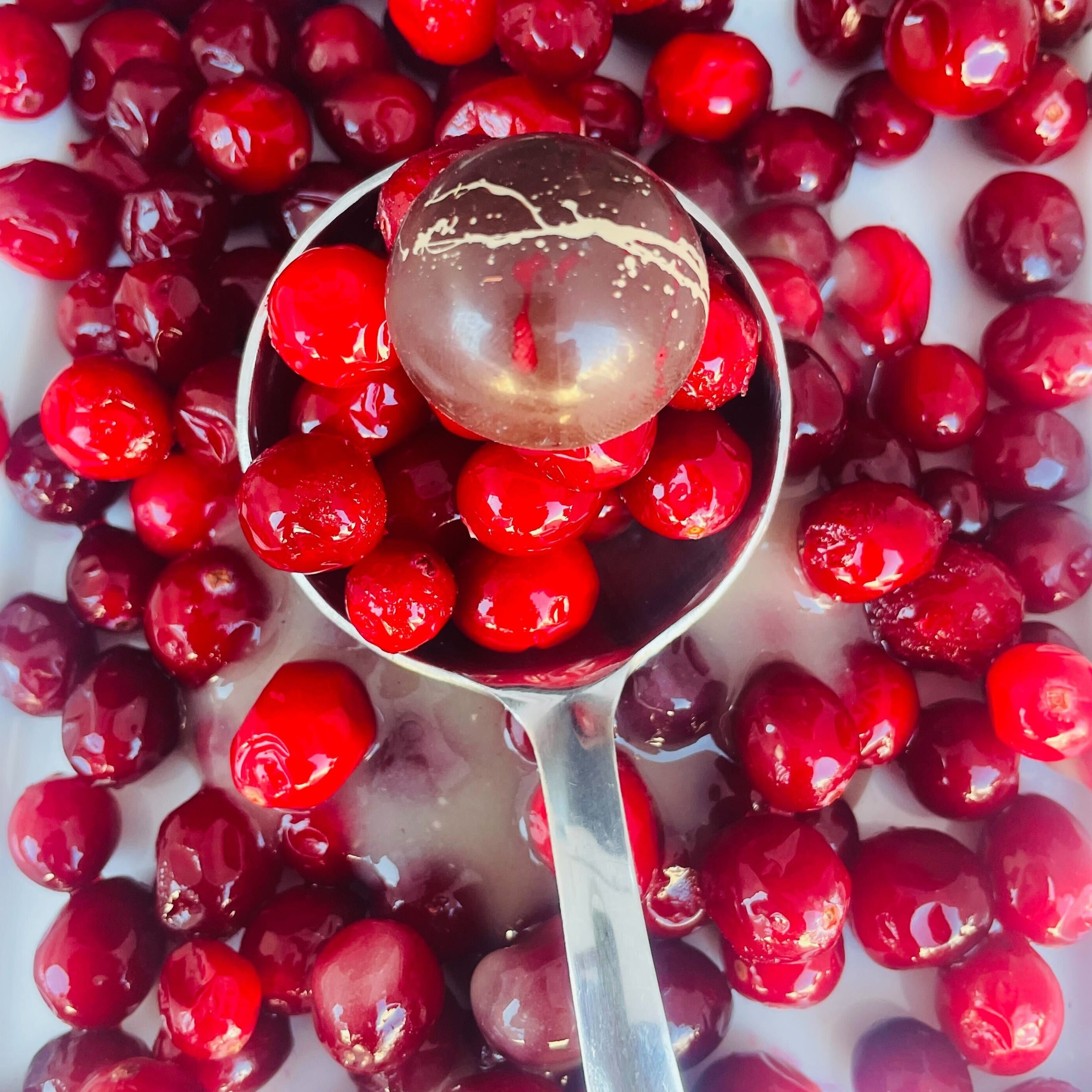 Thanksgiving Feast Bonbon