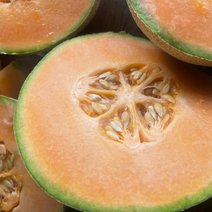 Tropical Cantaloupe Sorbet