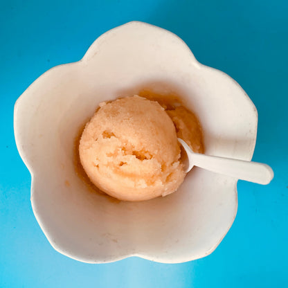 Tropical Cantaloupe Sorbet