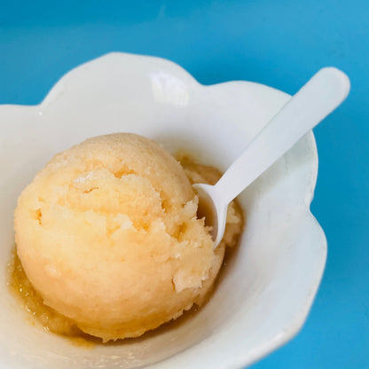 Tropical Cantaloupe Sorbet
